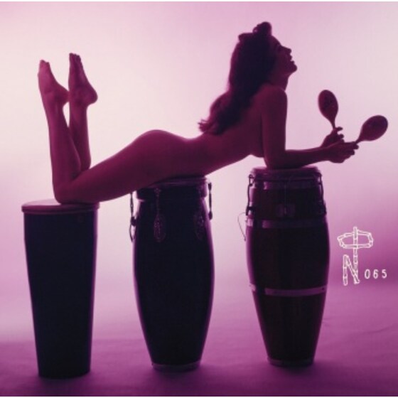 Technicolor Paradise: Rhum Rhapsodies (LP) image 0
