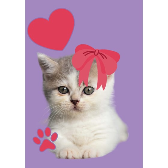 Τετράδιο Καρφίτσα Lycsac 17x25 B5 (1 Τεμάχιο) image 1