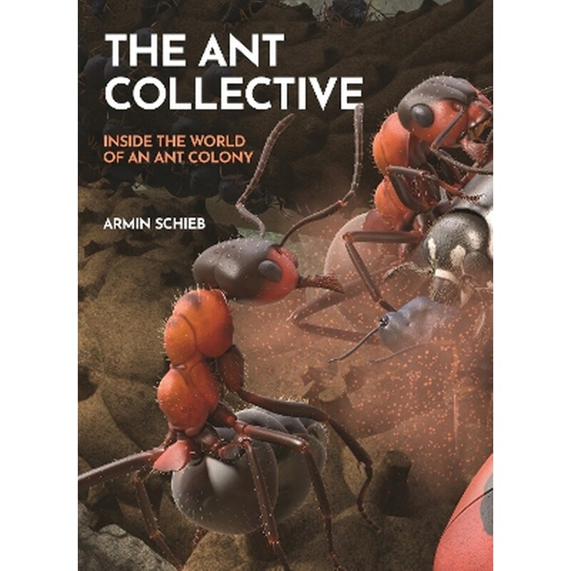 The Ant Collective
