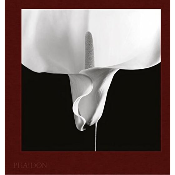 Mapplethorpe Flora image 0