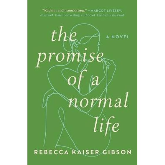 The Promise of a Normal Life : A Novel image 0