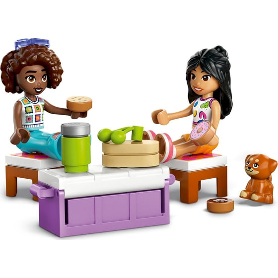 LEGO® Friends Αυτοκίνητο για Οδικό Ταξίδι Φιλίαςς (42659) image 1