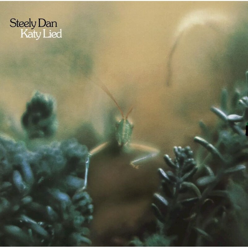 Katy Lied (LP)