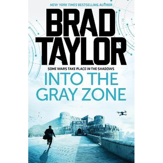 Into the Gray Zone image 0