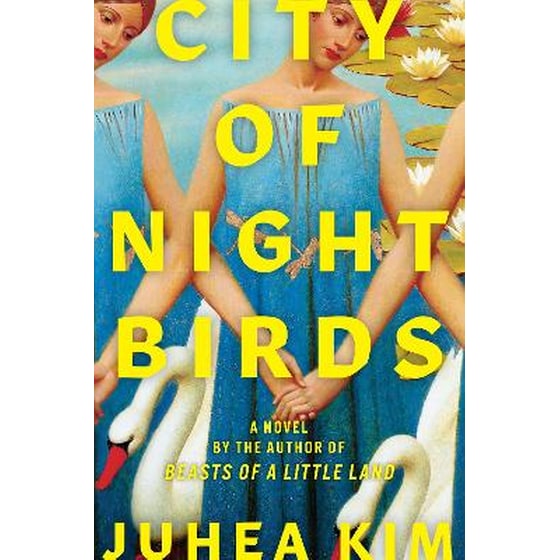 City of Night Birds image 0