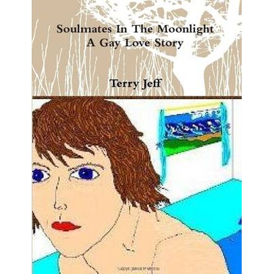 Soulmates In The Moonlight A Gay Love Story image 0