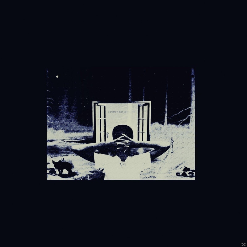 I Dont Like Shit, I Dont Go Outside: An Album By Earl Sweatshirt