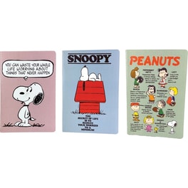 Τετράδιο Peanuts A5 Friends
