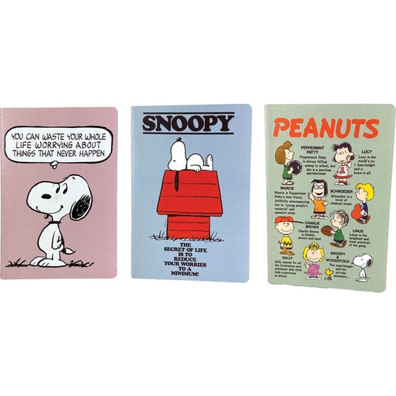 Τετράδιο Peanuts A5 Friends image 0