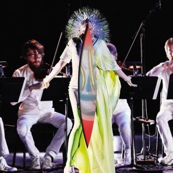 Vulnicura Strings image 0
