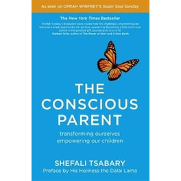 The Conscious Parent