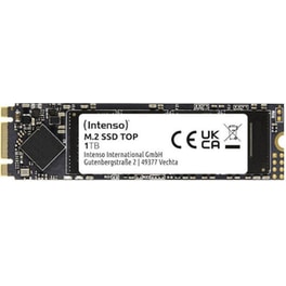 Εσωτερικός SSD Intenso 3832460 1TB M.2 Sata III