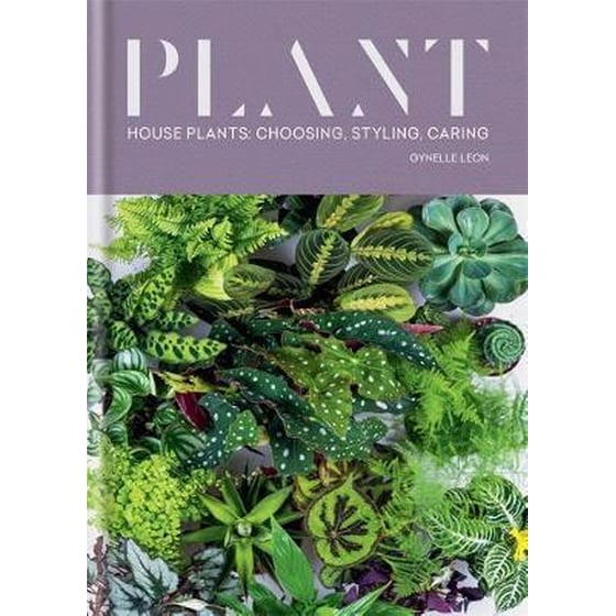 Plant image 0