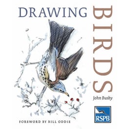 Drawing Birds