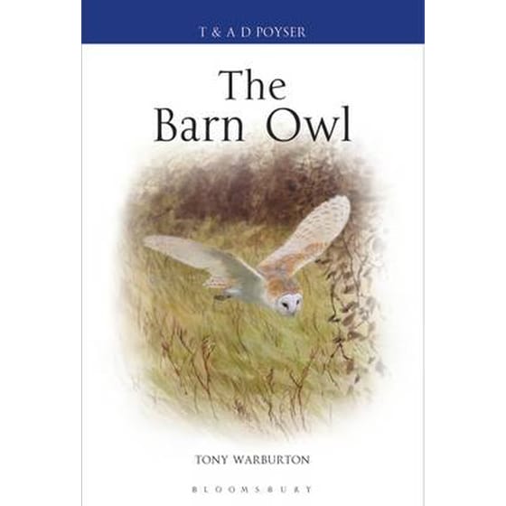 Barn Owl image 0
