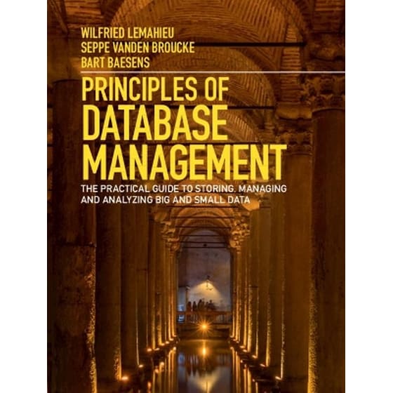 Principles of Database Management image 0