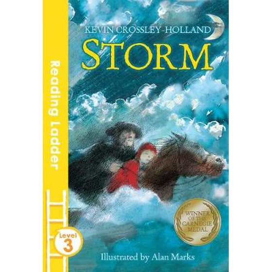 Storm image 0