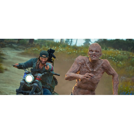 Days Gone - PS4 image 12