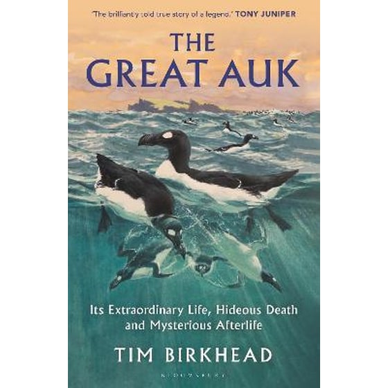 The Great Auk image 0