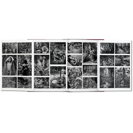 Sebastiao Salgado. GENESIS image 2