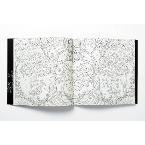 Enchanted Forest image 3