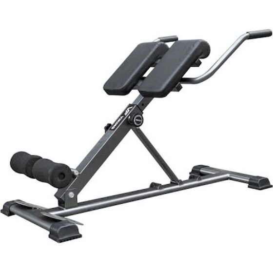 Ραχιαίων Πάγκος Γυμναστικής Viking RC-1 107x47x71cm - Ασημί image 0