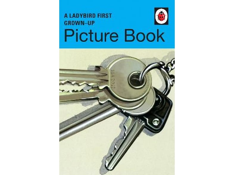 Ladybird First Grown-Up Picture Book