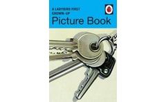 Ladybird First Grown-Up Picture Book