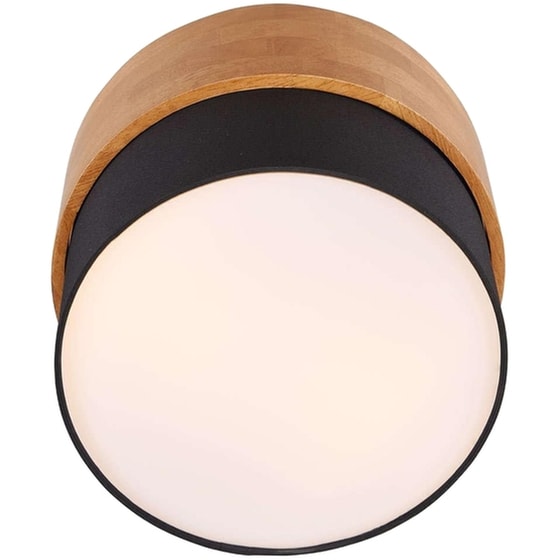 Trio Lighting Seasons Πλαφονιέρα Οροφής 30εκ. Καφέ με Ντουί E14 image 1