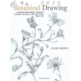 Botanical Drawing
