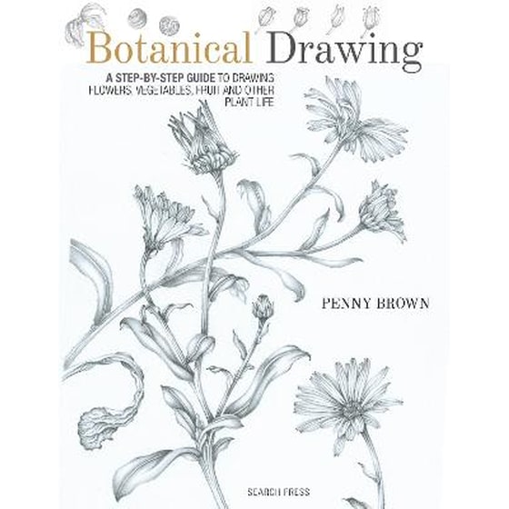 Botanical Drawing image 0