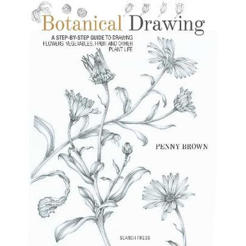 Botanical Drawing