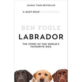 Labrador
