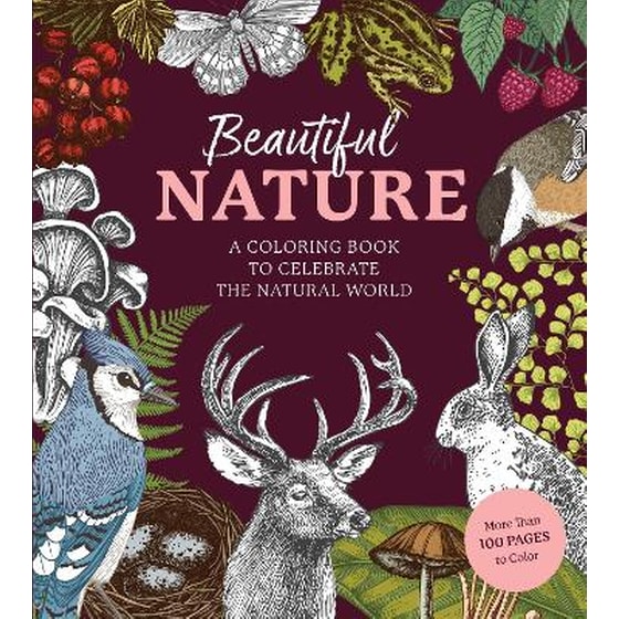 Beautiful Nature Coloring Book image 0