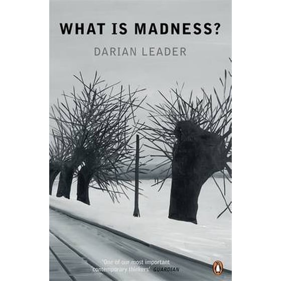 What is Madness? image 0