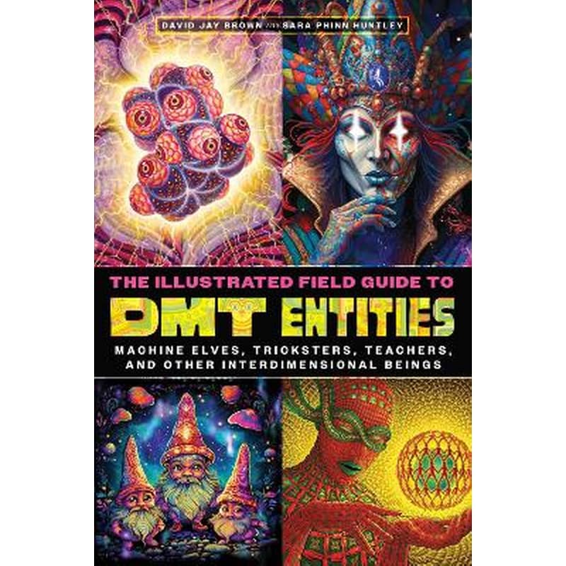 The Illustrated Field Guide to DMT Entities