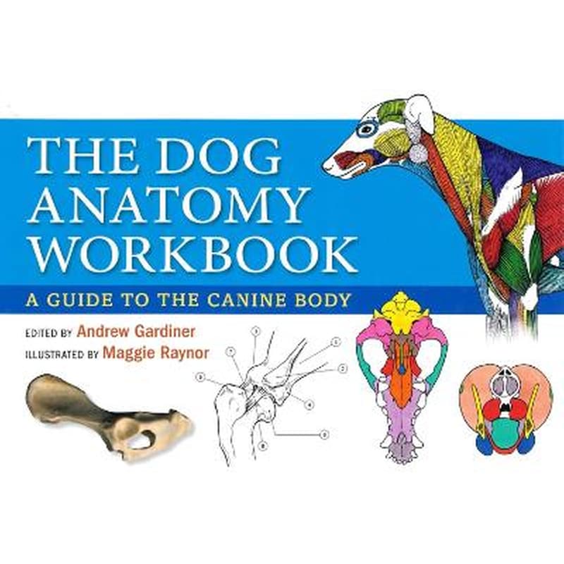 Dog Anatomy Workbook