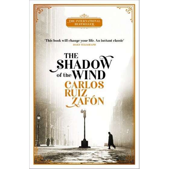 Shadow of the Wind image 0