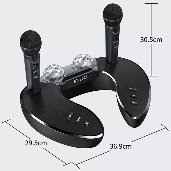 Party Speaker Oem ST-2021 με 2 Ασύρματα Μικρόφωνα 10W - Μαύρο image 1