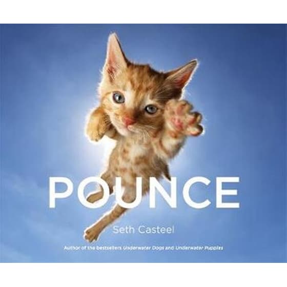 Pounce image 0