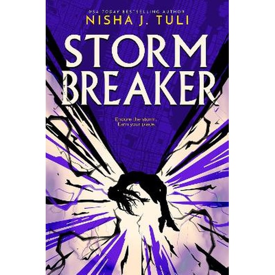 Stormbreaker (Paperback) image 0