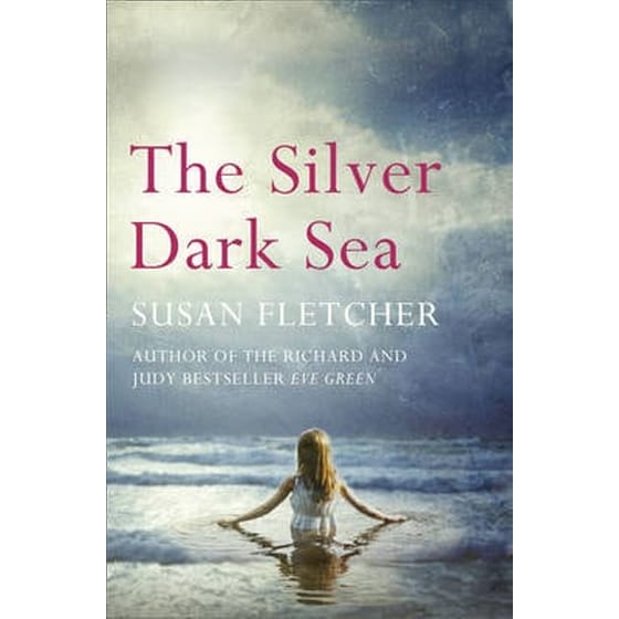 The Silver Dark Sea image 0