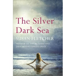 The Silver Dark Sea
