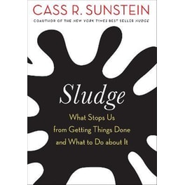 Sludge : What Stops Us from Getting Things Done and What to Do about It