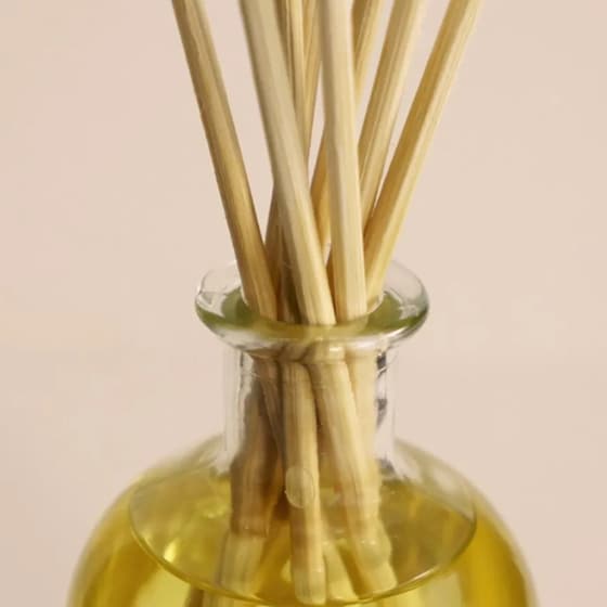 Diffuser Ambientair The Olphactory Cashmere 100ml - Pause image 6