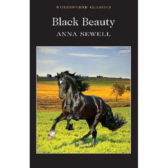 Black Beauty image 0
