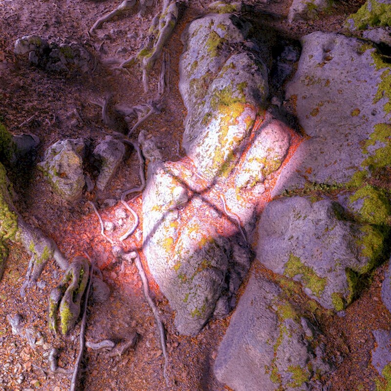 Lake From The Louvers (LP)