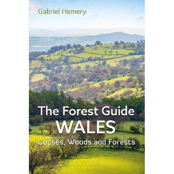 The Forest Guide: Wales image 0