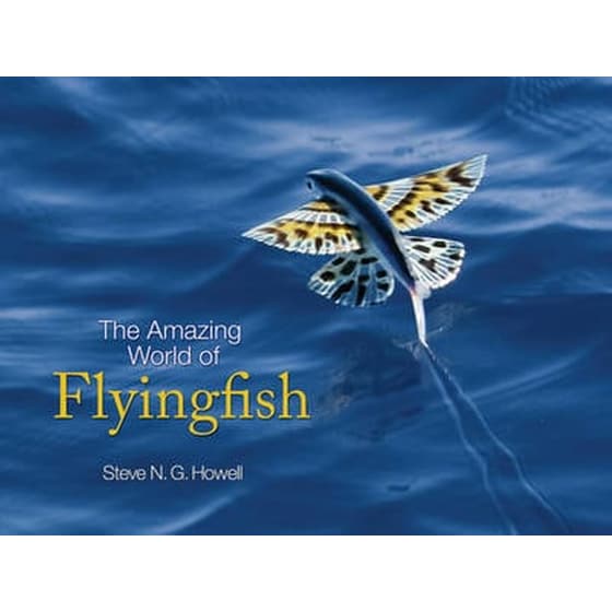 Amazing World of Flyingfish image 0
