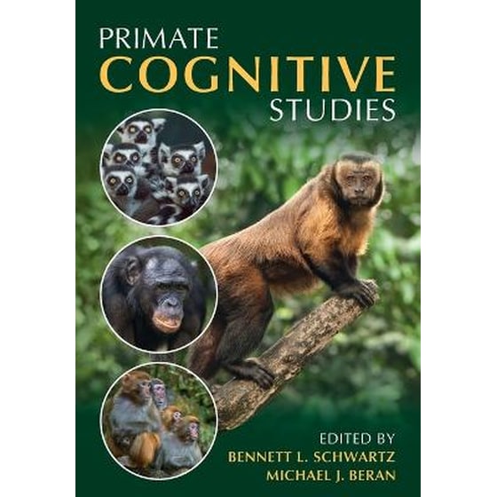 Primate Cognitive Studies image 0